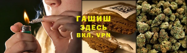 ГАЛЛЮЦИНОГЕННЫЕ ГРИБЫ Инта